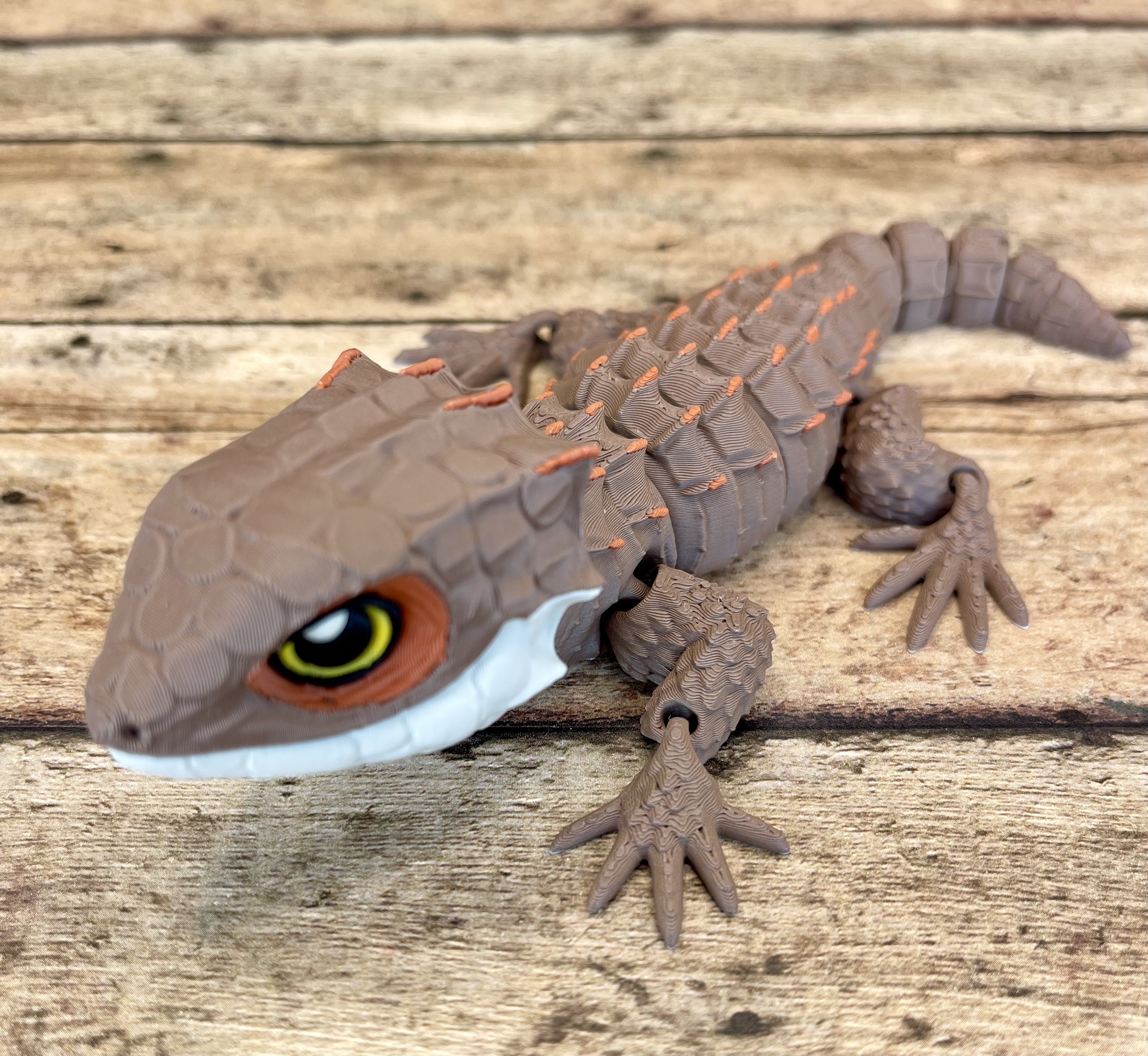 Crocodile Skink