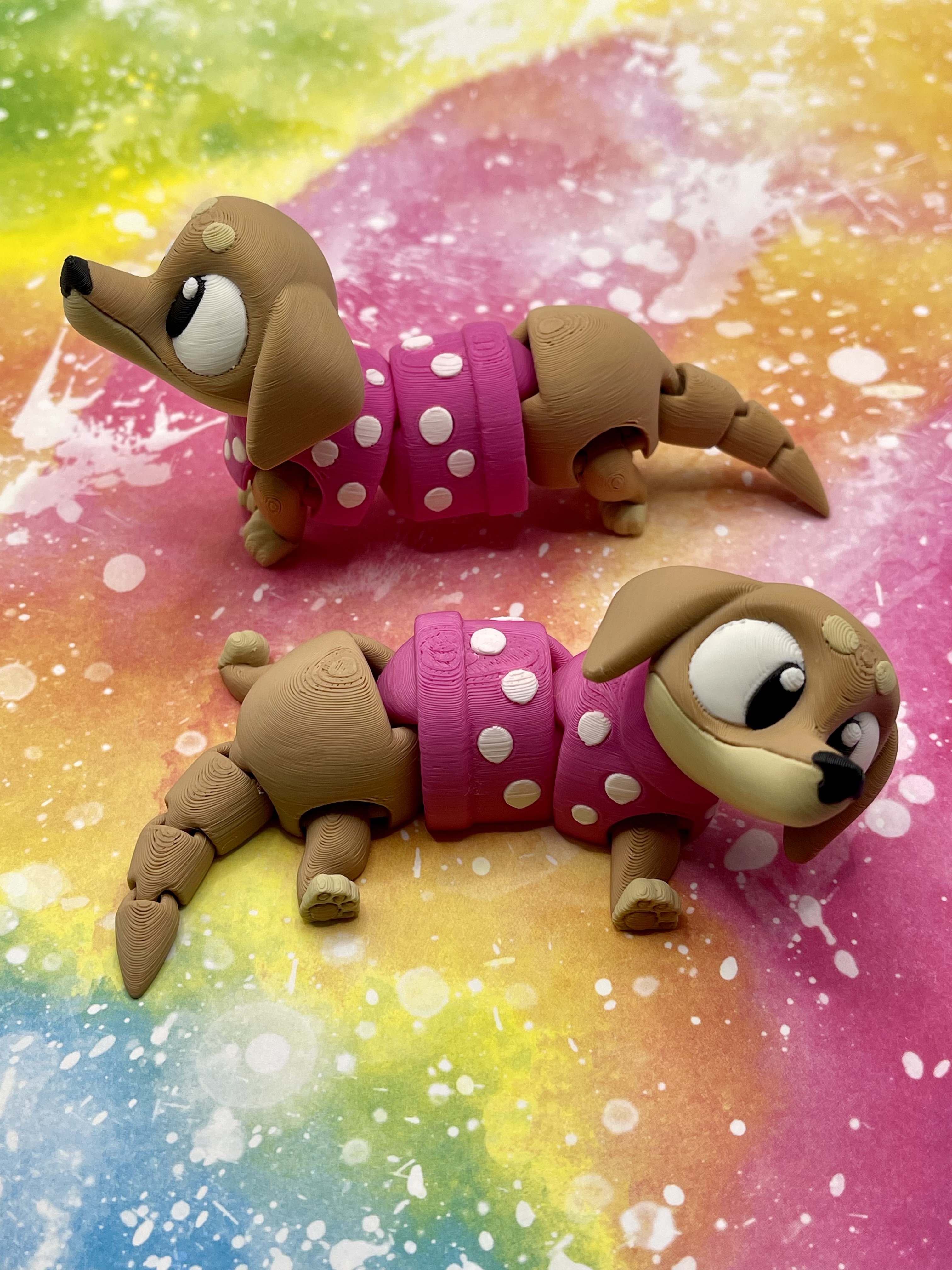 Dachshund