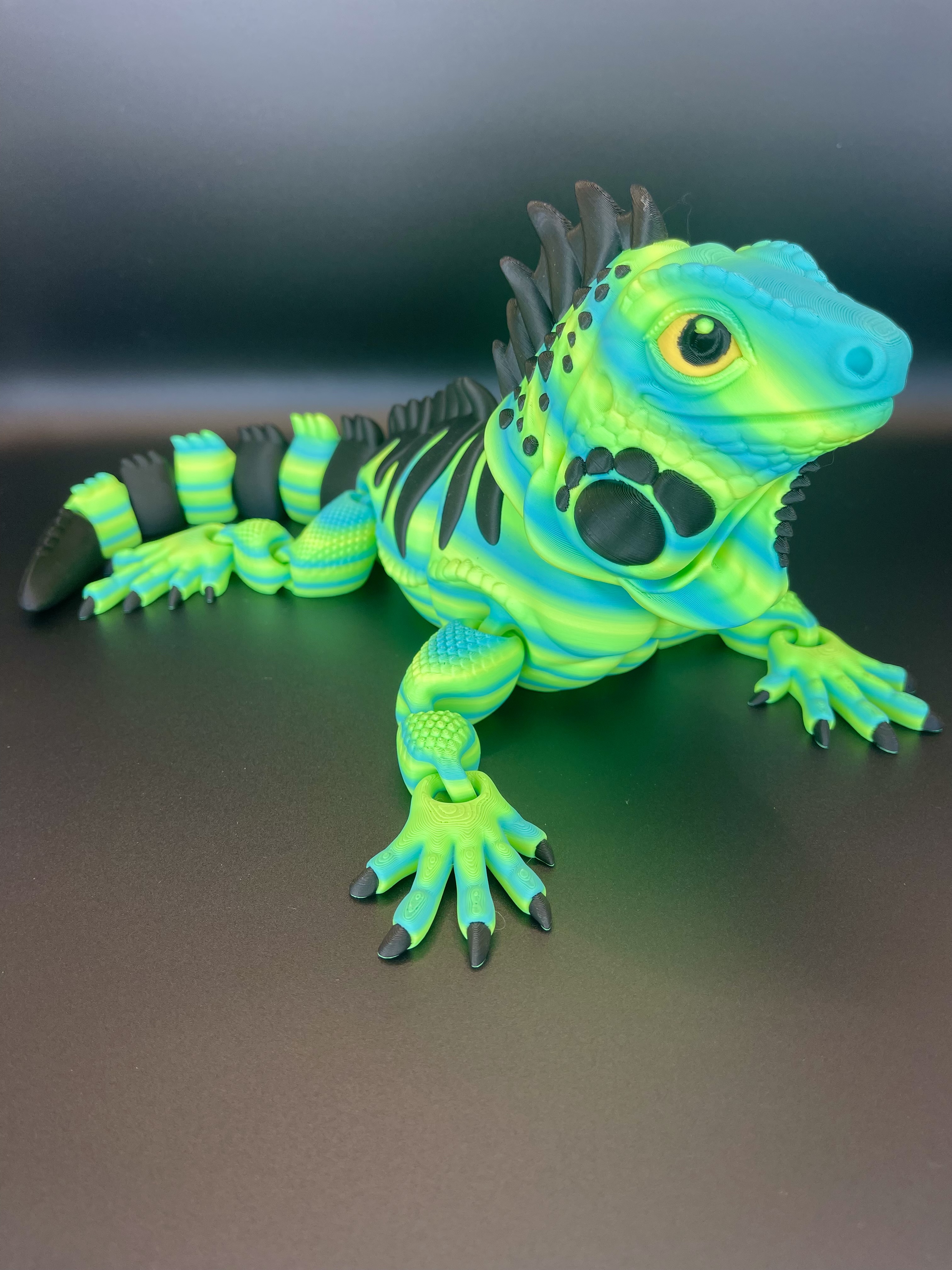Iguana XL