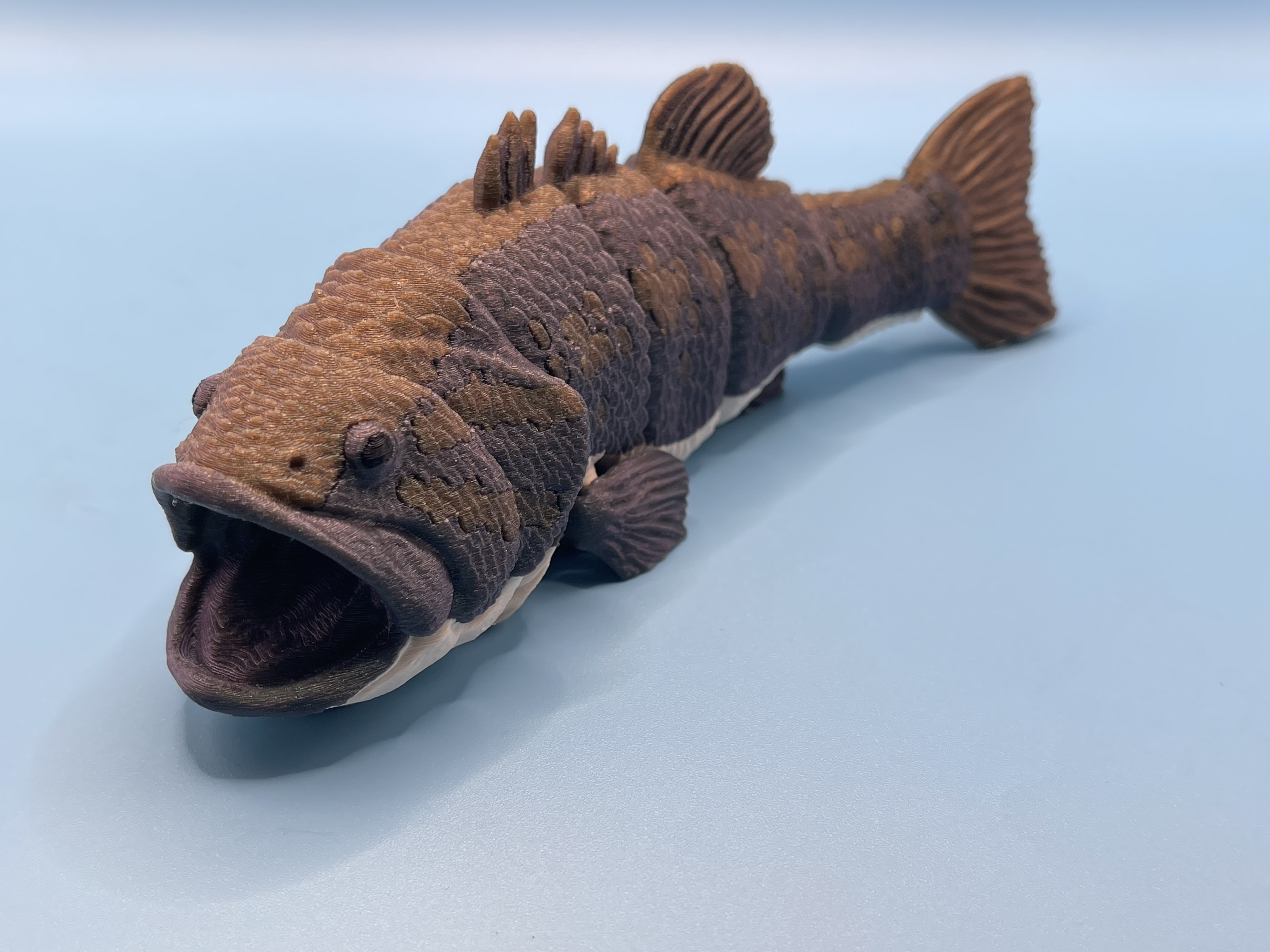 Large Mouth Bass