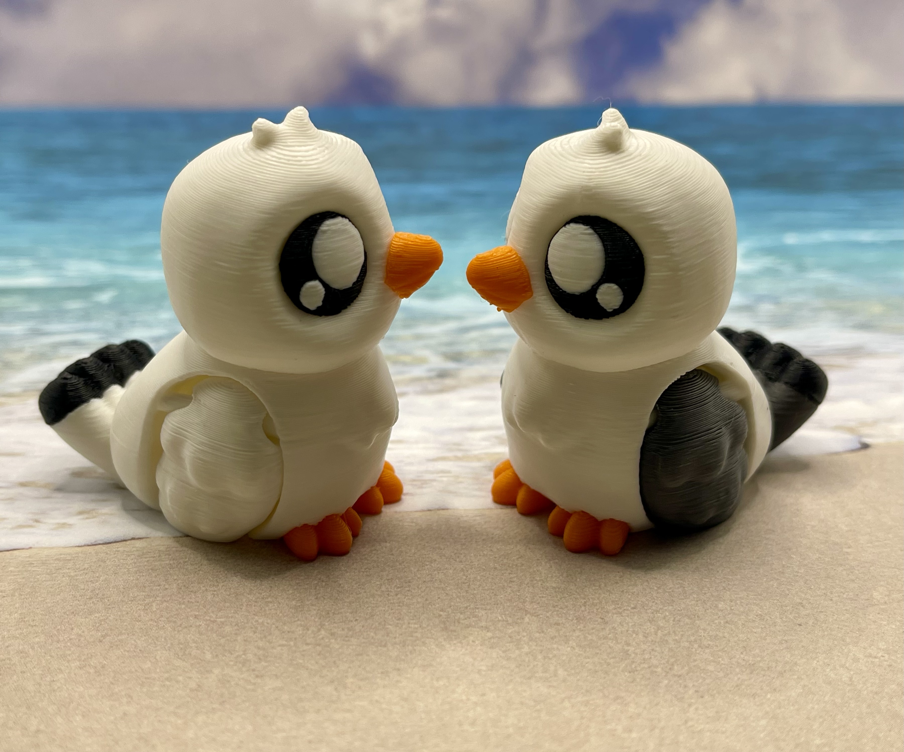 Seagull